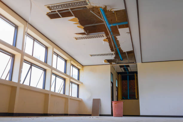 Best Water damage restoration mold remediation  in Ballinger, TX