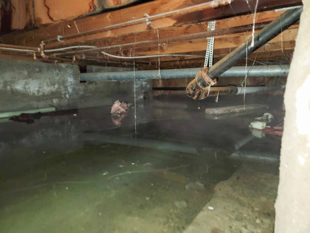Local water damage restoration in Ballinger, TX
