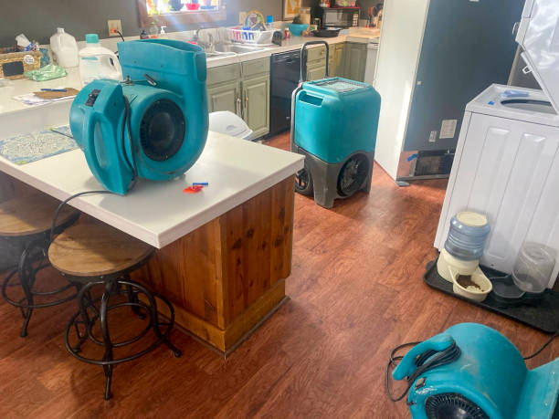 Best Mold removal after water damage  in Ballinger, TX