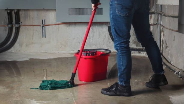 Best Local water damage restoration  in Ballinger, TX