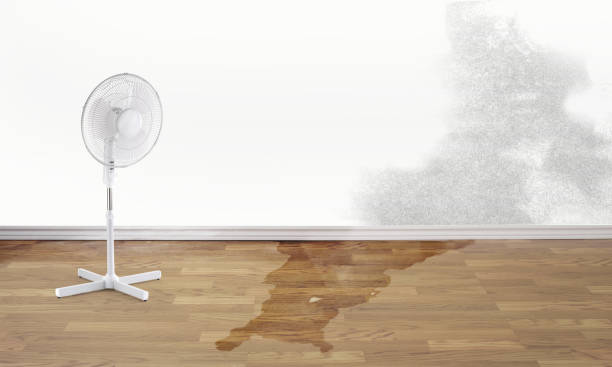 Trusted Ballinger, TX Water damage restoration Experts