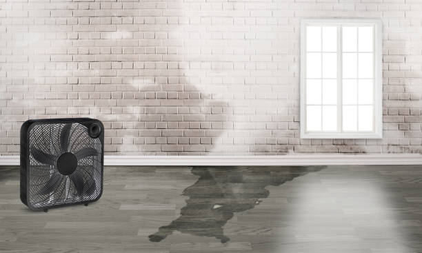 Best Basement water damage restoration  in Ballinger, TX